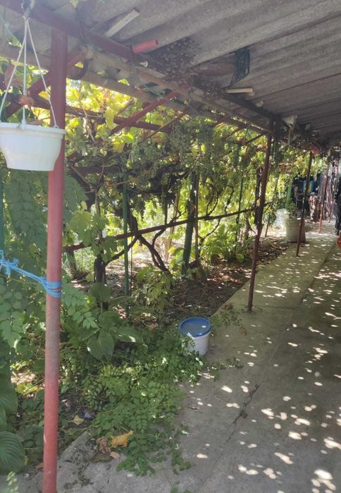 Vand casa Romanu, Braila, asfalt, canal, electricitate, lot mare