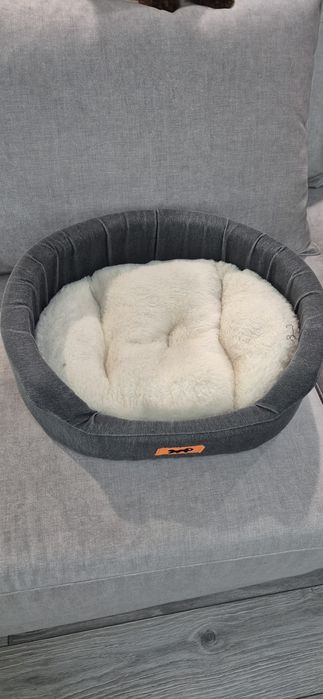 Аксесоари за домашни любимци