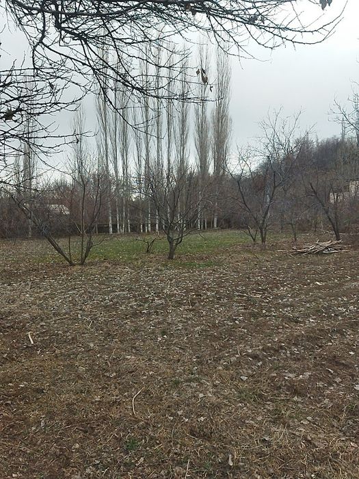 Er uchastka sotiladi 8 sot Boʻstonliq da sotxga 4500$