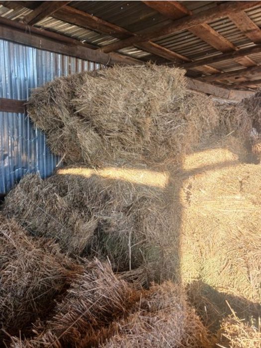 Тау майлы шөп тюк