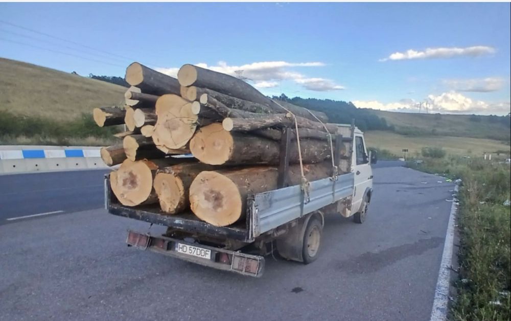 Lemn foc fag întreg sau gata tăiat și spart !! Tot județul Hunedoara!De la 3.8 MC la 17MC