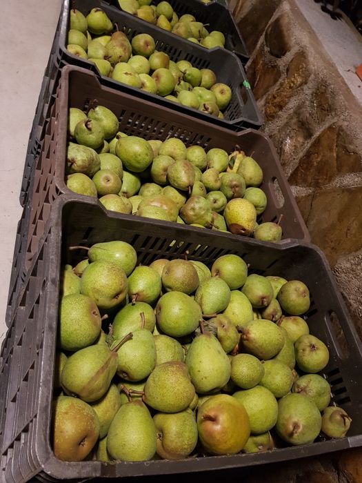 Pere de Voinești