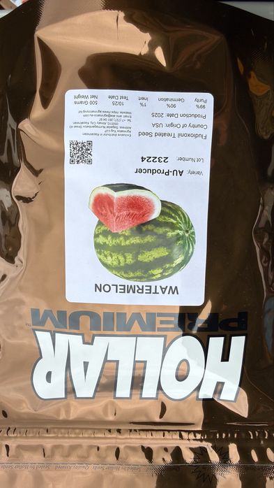 Холлор Дарбыз Ұрық