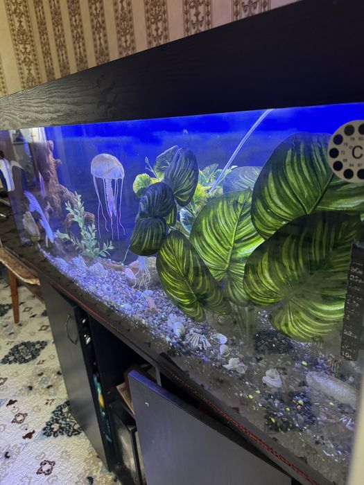 Akvarium zakaznoy Б/у