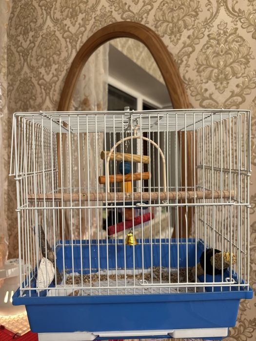 Продам клетку для попугая