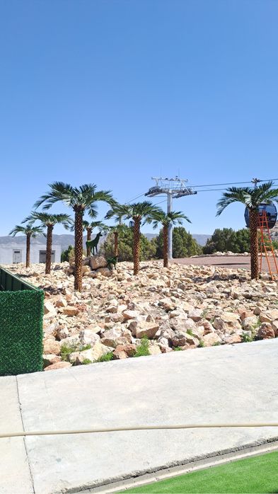 Farg‘onada  | Villa/restoran uchun lux suniiy palma 3m–8m — -30%