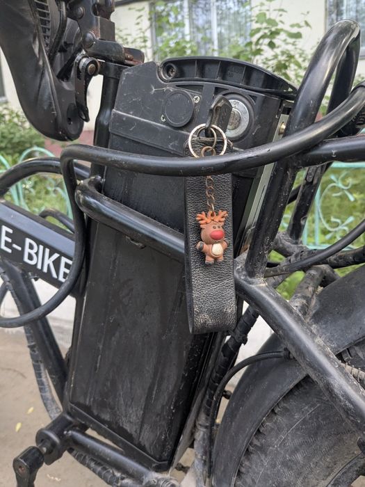 Leopard e-bike 1200W