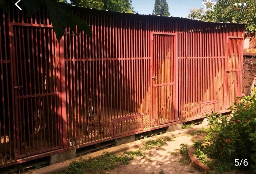 Зоогостиница для собак