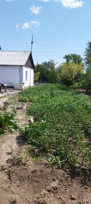 Продам отдельно стоящий дом