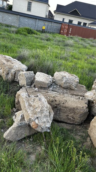 Блужник Самал 2