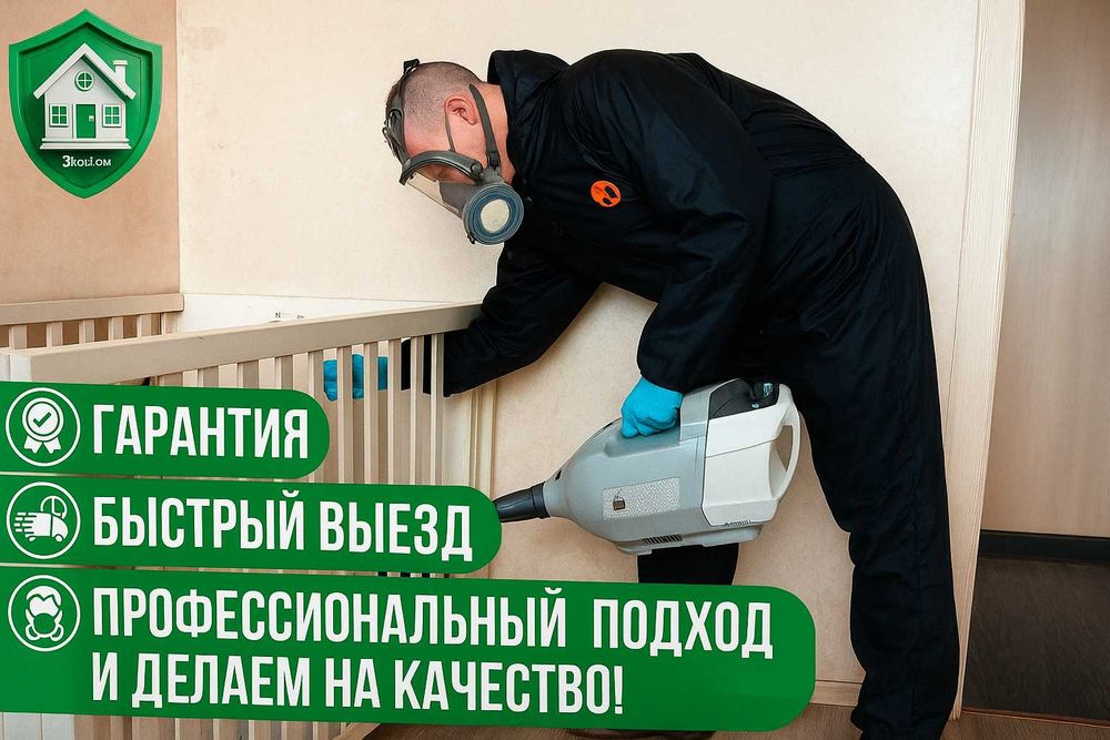 Дезинфекция от клопов тараканов крыс мышей скорпионов ос мух блох