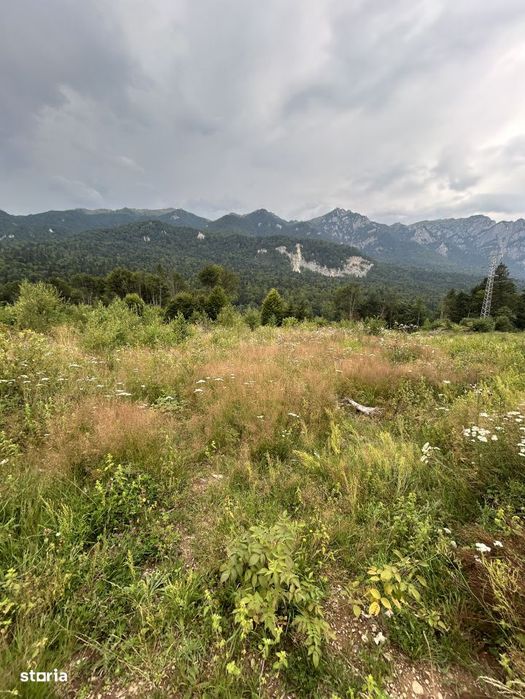 Teren intravilan, 1000 mp, proiect duplex P+E, zona Sinaia - Zamora
