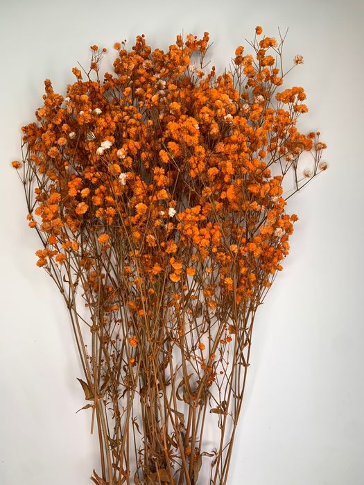 Сухоцветы / Гипсофилы букет