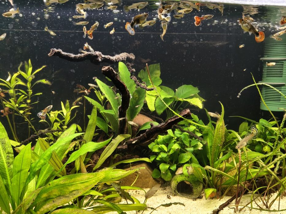 Acvariu 120 litri + stand