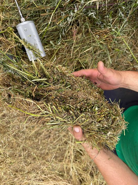 Baloti de lucerna ecologica infoliata - semifân, siloz și fan - uscata
