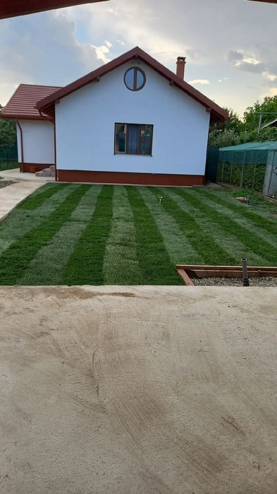 Piatra naturala de munte și Gazon rulou natural