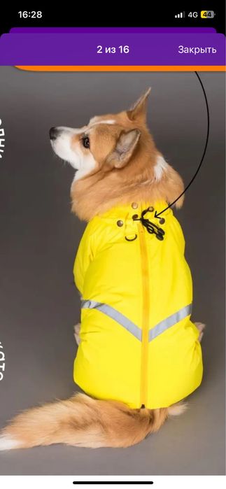 Комбинезон-дождевик для собак (s) для кабеля