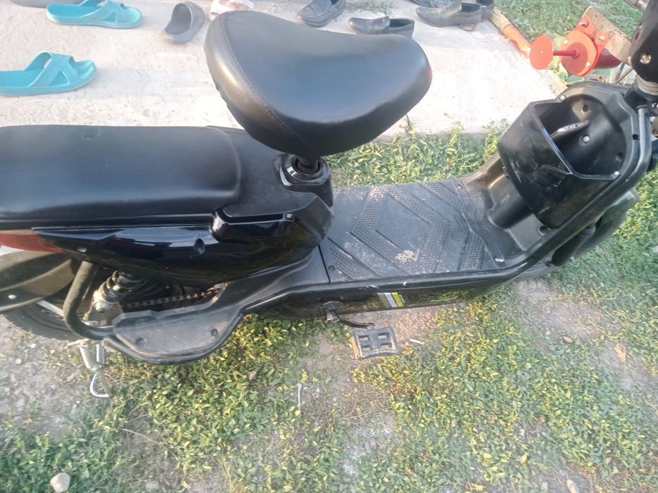 Лепард лепард  40