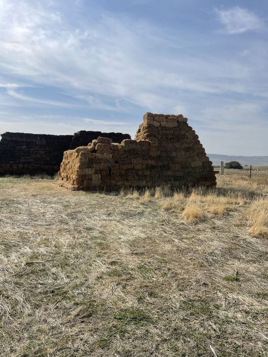 сено люцерн багасы келисимди