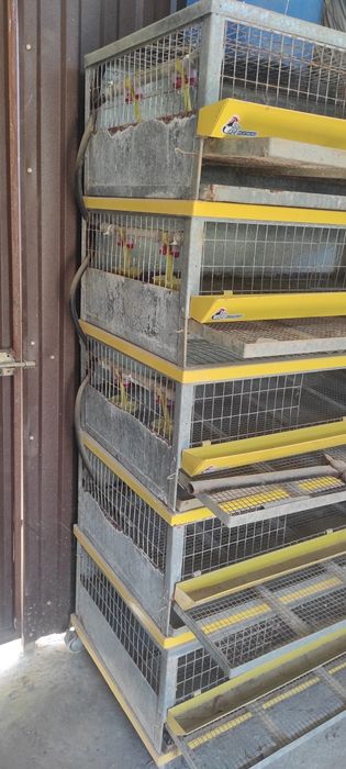 Клетки перепелиные или кроличьи.