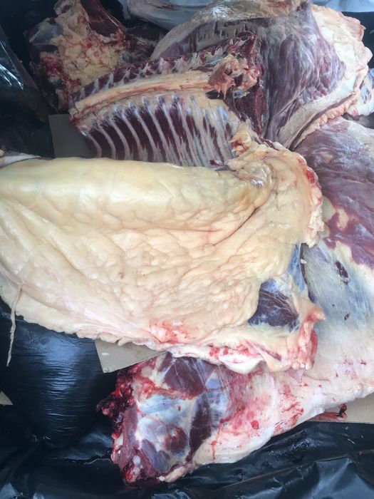 Продам мясо конины в любом количистве