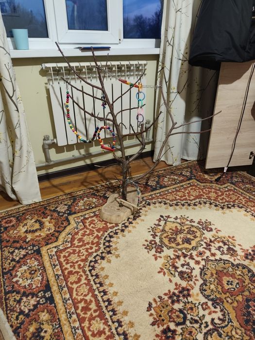 Стент для попугаев