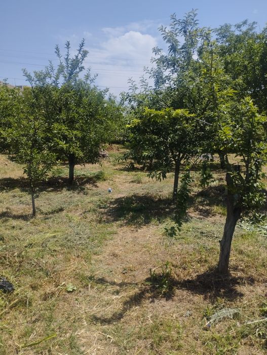 Продается участок 6 соток