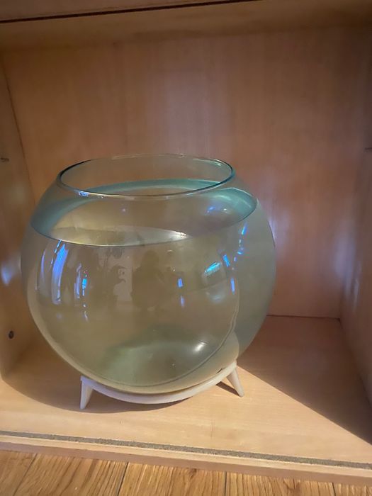 Аквариум для дома