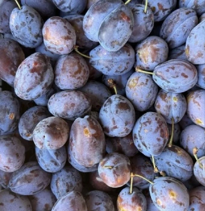 Prune de vanzare