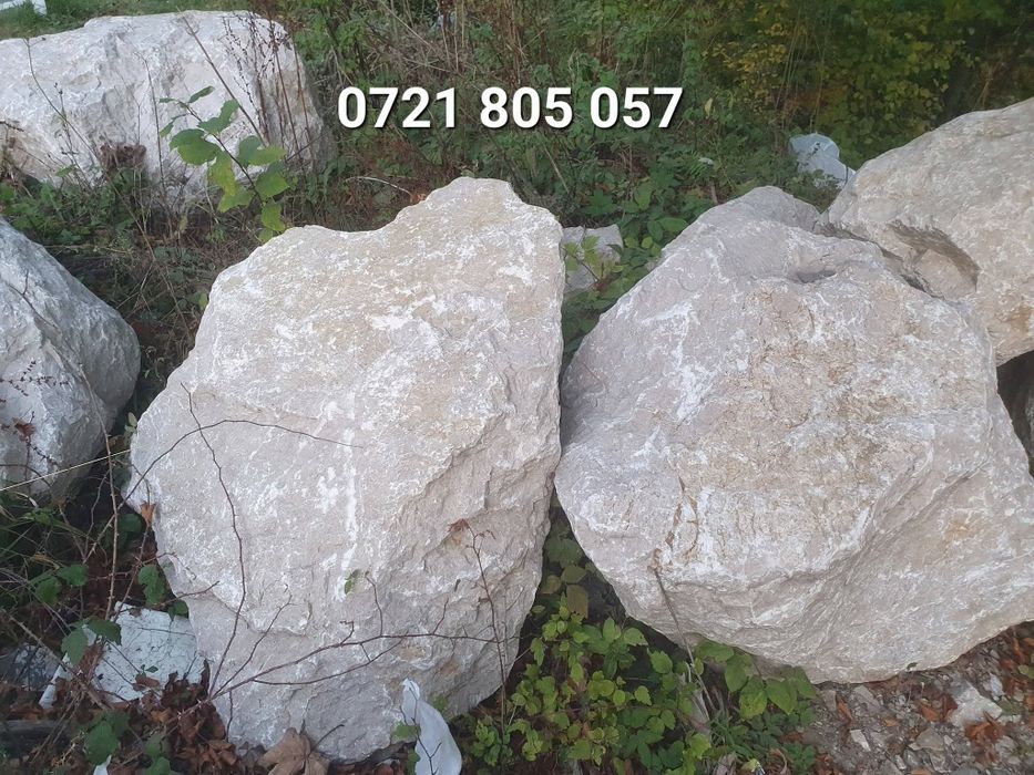 Bolovani ornamentali pentru decor, iazuri, cascade, drenaj etc