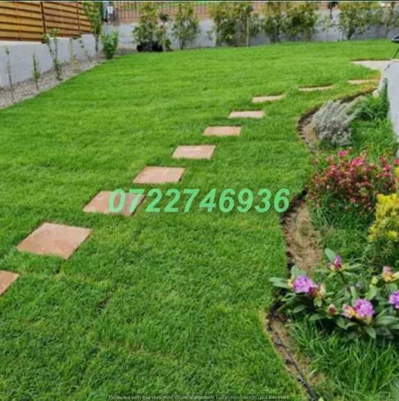 Gazon Rulou Premium cu Livrare Rapidă în Toată Țara