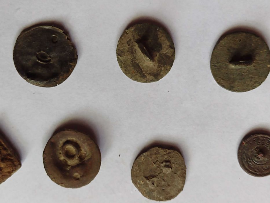 Nasturii lui napoleon