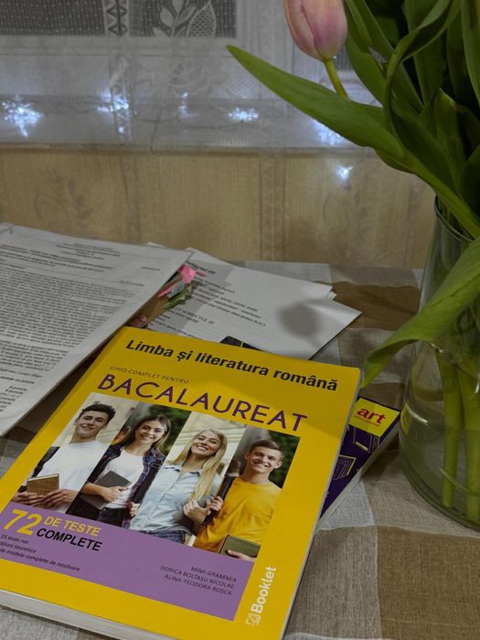 Meditatii BAC - Limba Romana