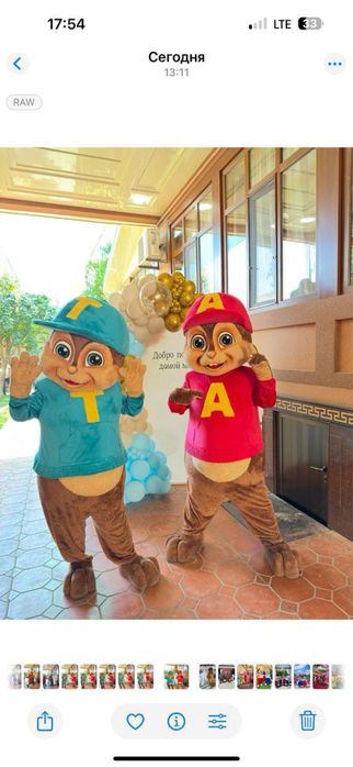 Raddom uchun ayiqchalar tugulgan kun va boshqa tadbirlarga ham