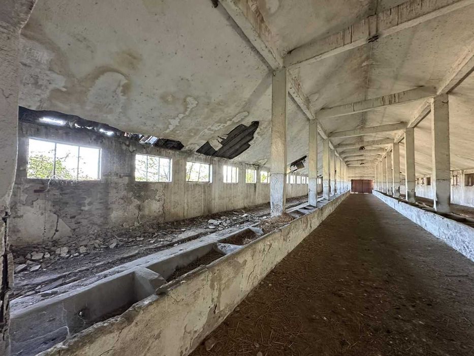 Продава се Промишлена сграда в с. Маноле, Област Пловдив - 5500 кв.м за 20 €/кв.м - Снимка #13