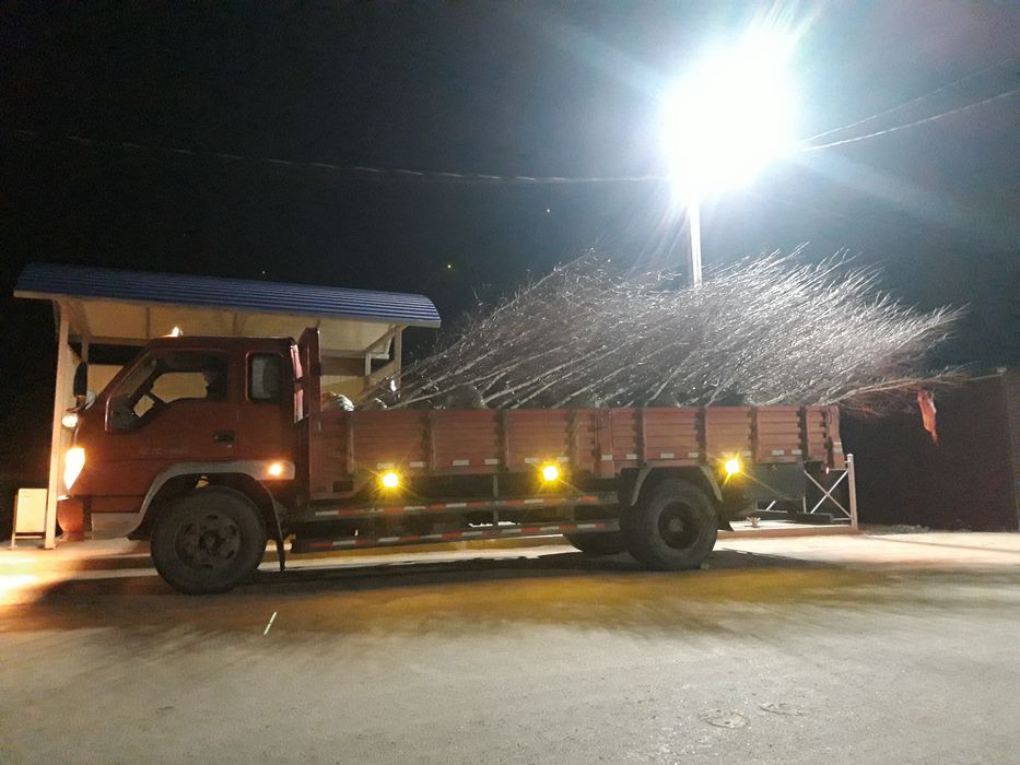 Foton Forland 10тонник Кокшетау