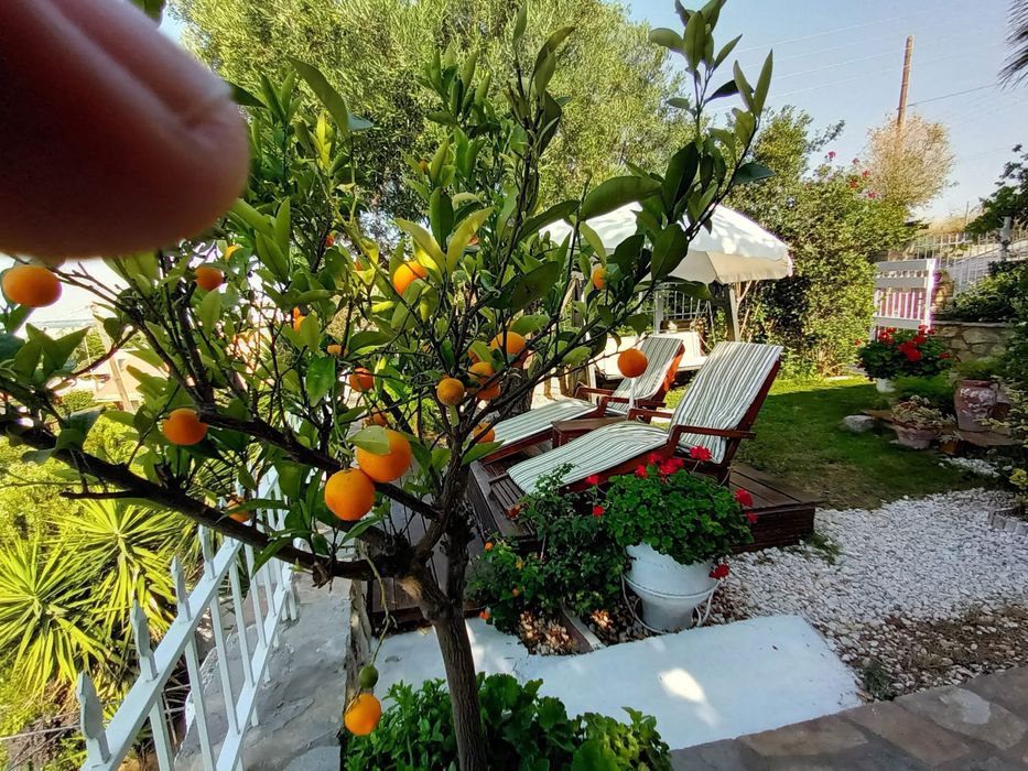 Продава се Къща в София, Център - 90 кв.м за 2945 €/кв.м - Снимка #3