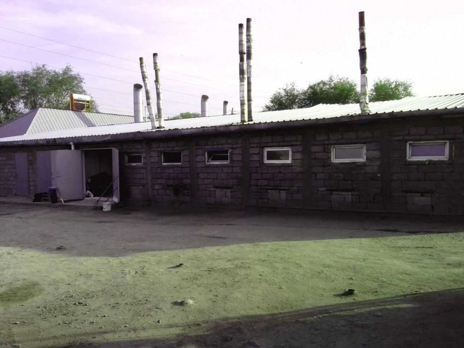 Продам действующий бизнес.