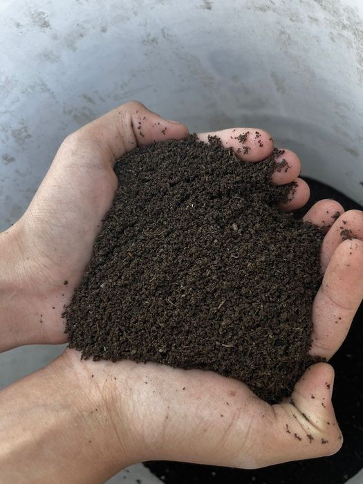 Биогомус Қызылорда