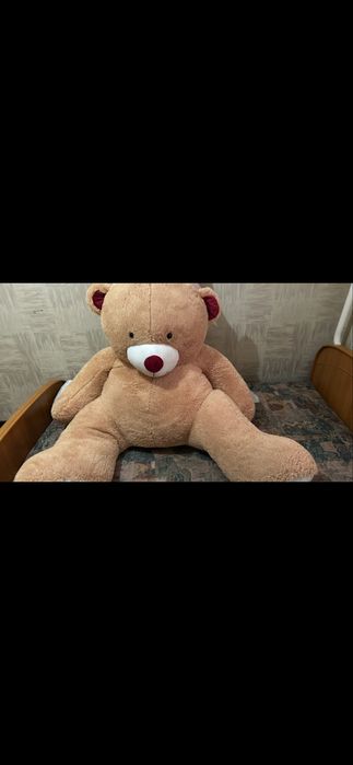 Новая большая мишка