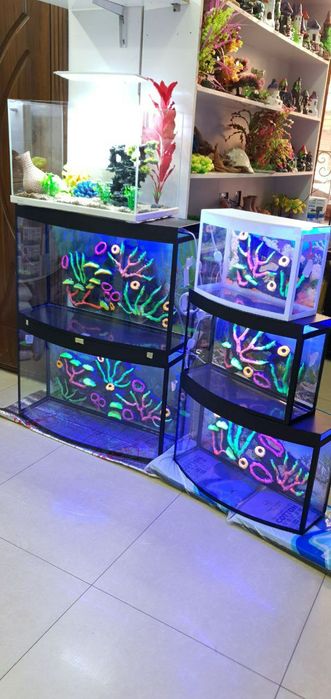 Akvarium Magazini Mirobod va Sergili