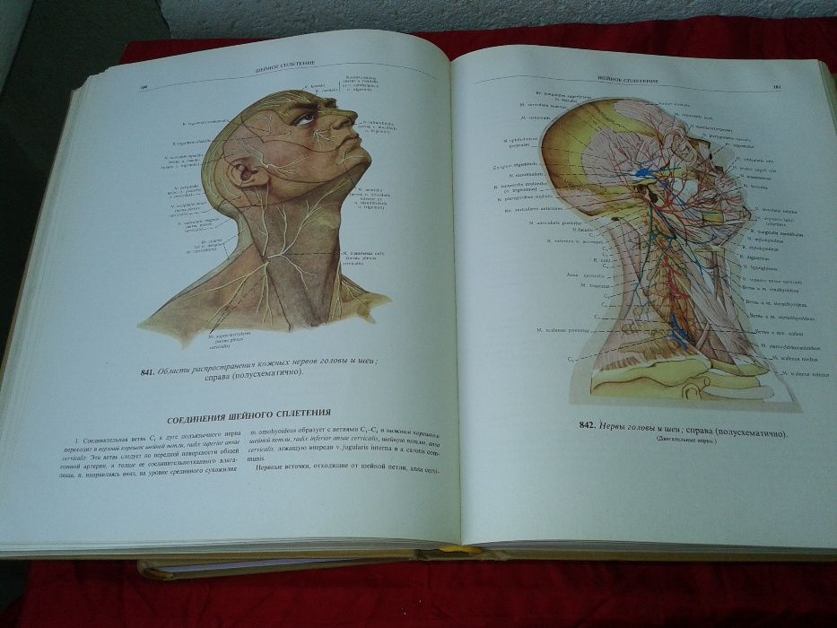 Атласи по анатомия на човека Синелников атлас по медицина стоматология