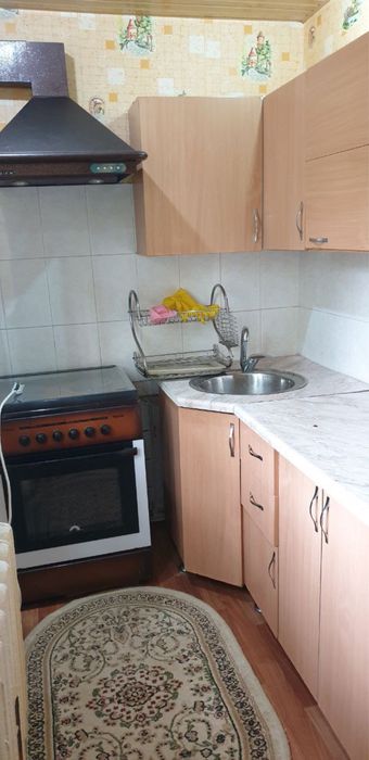 Спутник 1. 2х комн деревяшка