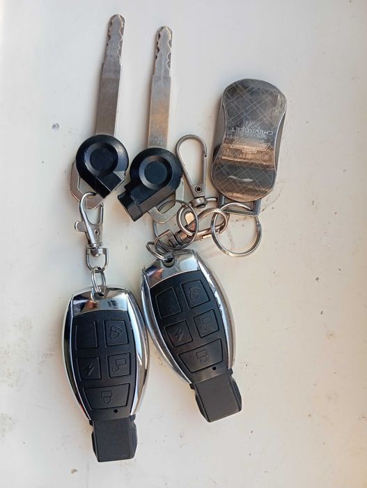 GST Tiger Yilli 2024