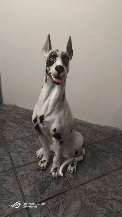 Caine portelan . De casa interior