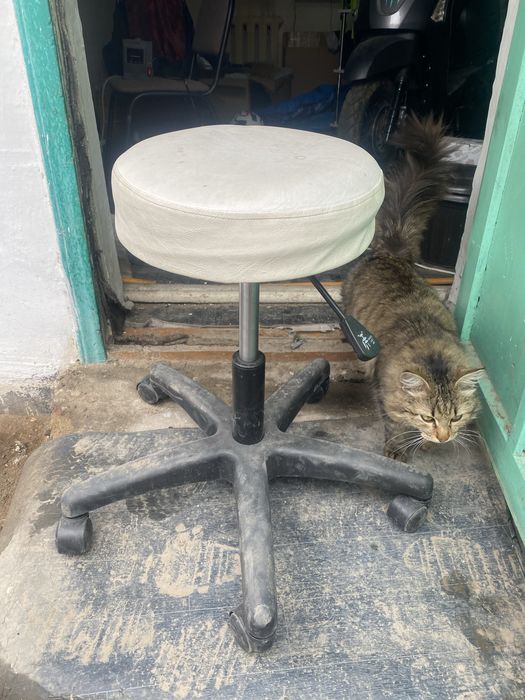 Стул для салона красоты или для дома или офиса