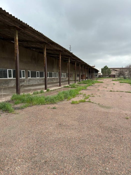 Продается база 3,5 га в г. Нуравшон (Тойтепа)