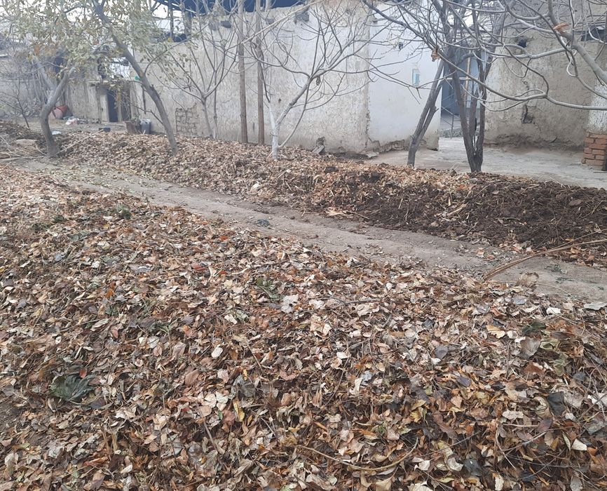 Biogumus va Chuvalchang SOTUVDA