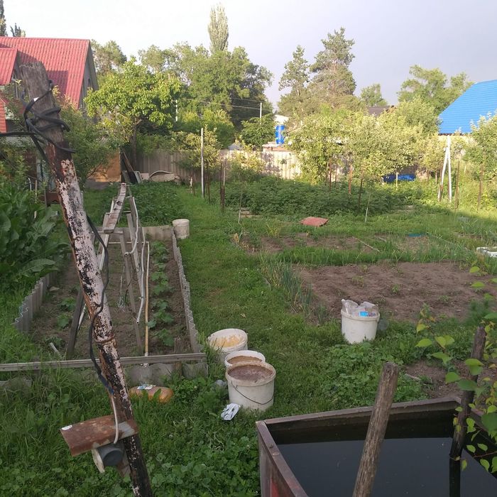 Продам дом! Коксай. 12 соток!