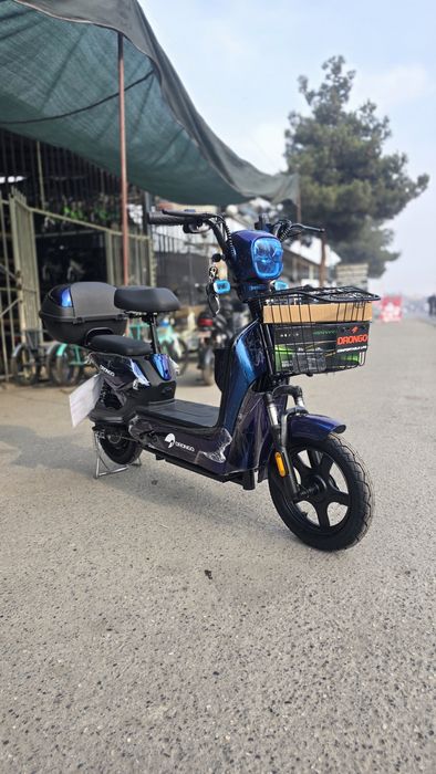 Brend nomi DRONGO 14LICHO'NTAY skuter